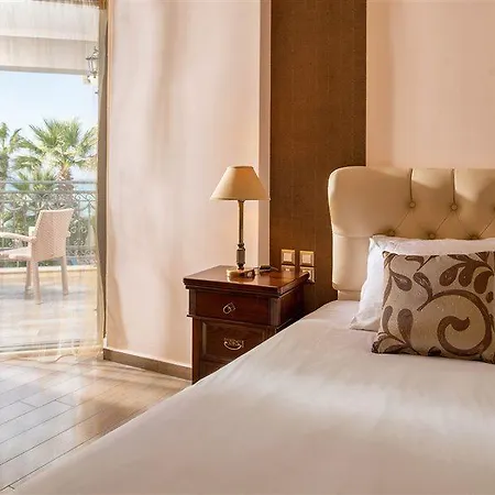ホテル Palazetto (adults Only)